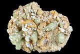 Apatite Crystals in Feldspar - Morocco #84329-1